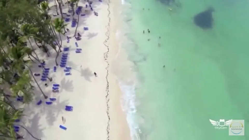 Herald Share Apartment Punta Cana 0*,